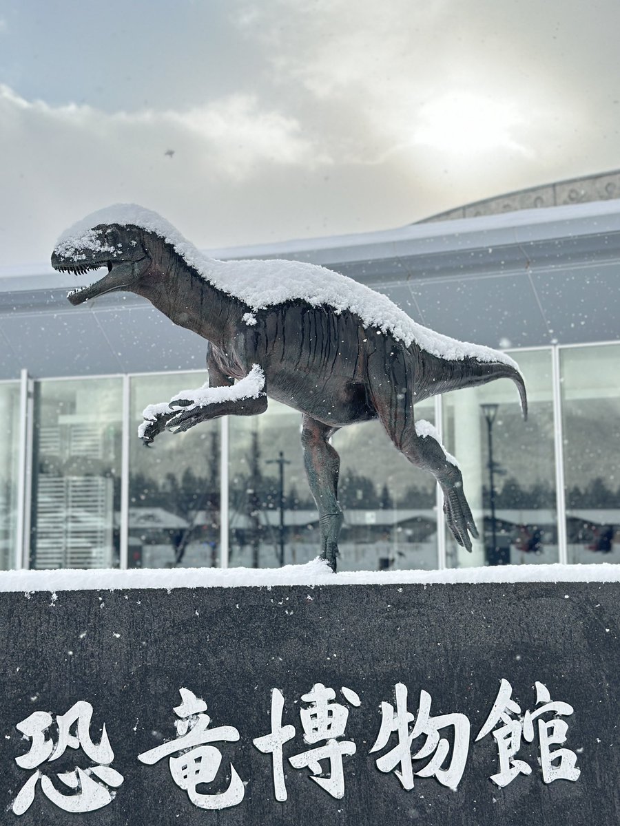 FukuiDinosaurs's tweet photo. おはようございます🦕

今日も県内は雪の予報❄️
特に恐竜博物館のある勝山市は雪の多い地域ですので、どうぞ気をつけてお越しください。

今年の恐竜博物館の営業は、12月30日まで、新年は1月2日から通常どお��開館いたします。
年末年始のご来館もお待ちしています✨ https://t.co/VbxjycSfwH