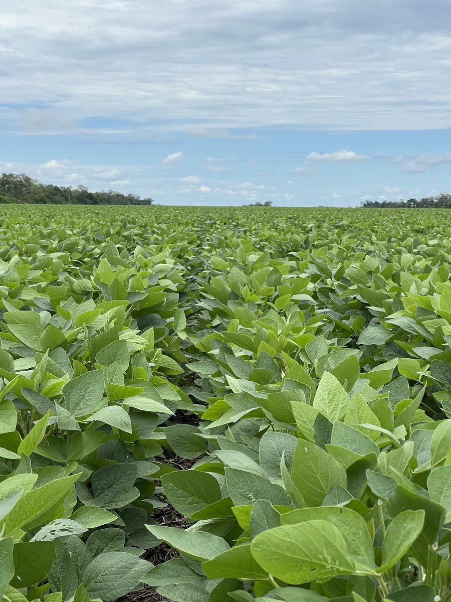 Albert Dyck (@albertdyck) on Twitter photo 