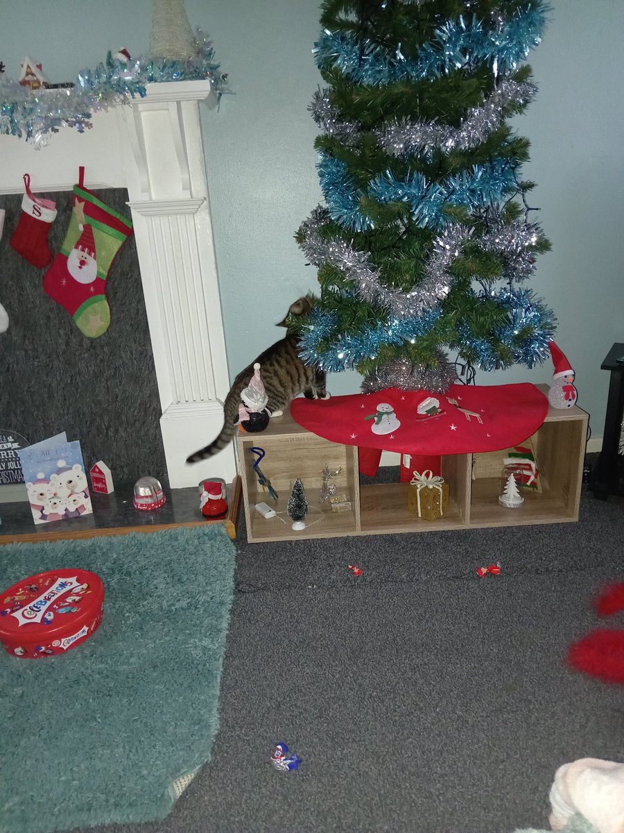 I will have this tree #naughtycat