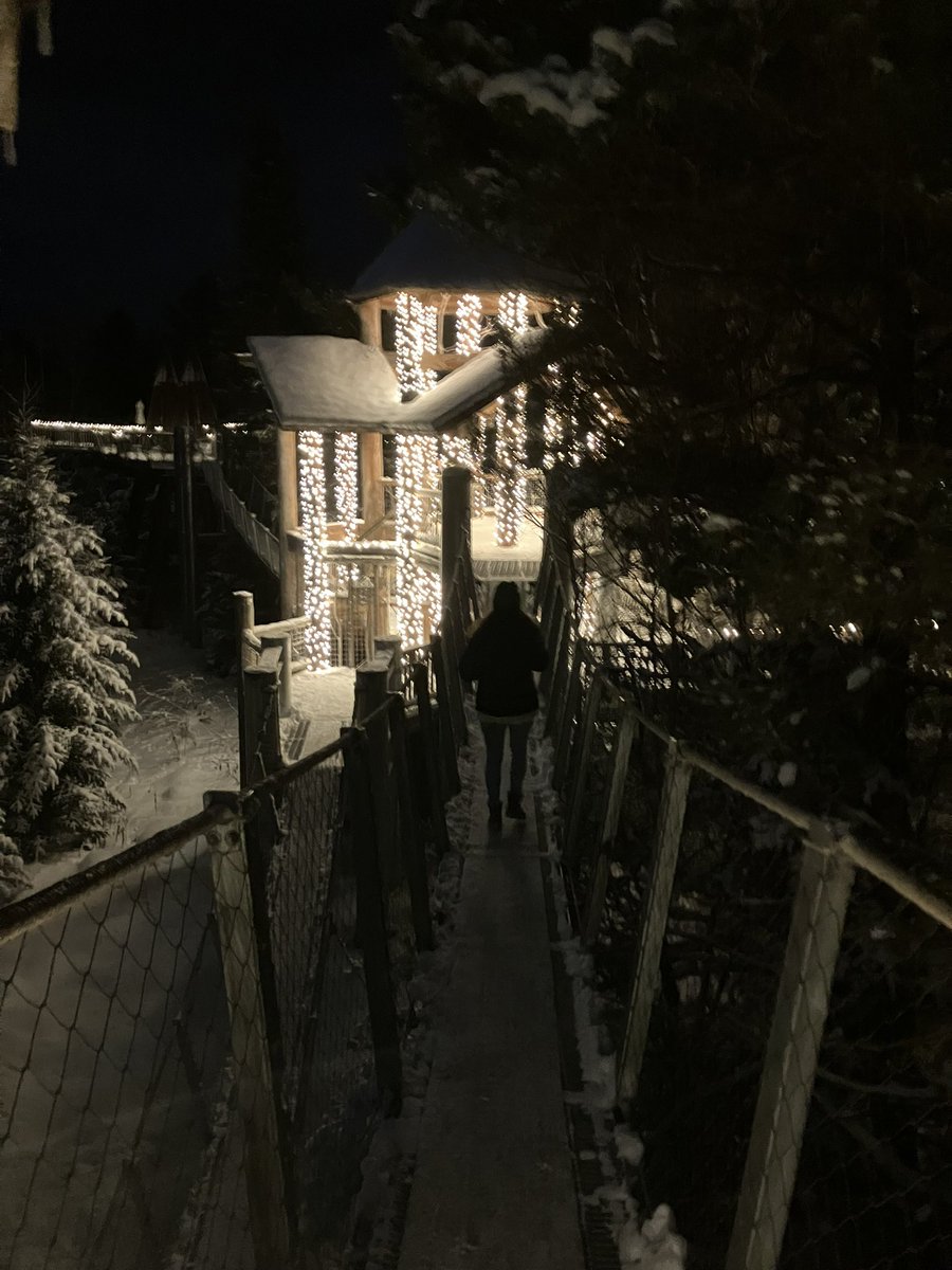 cdcamp218's tweet photo. Wild Center Wild Lights https://t.co/7WeQaGrtIT