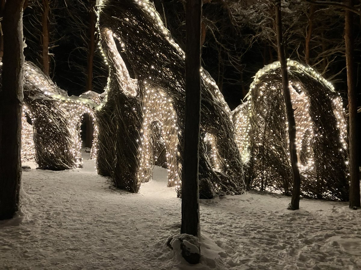 cdcamp218's tweet photo. Wild Center Wild Lights https://t.co/7WeQaGrtIT