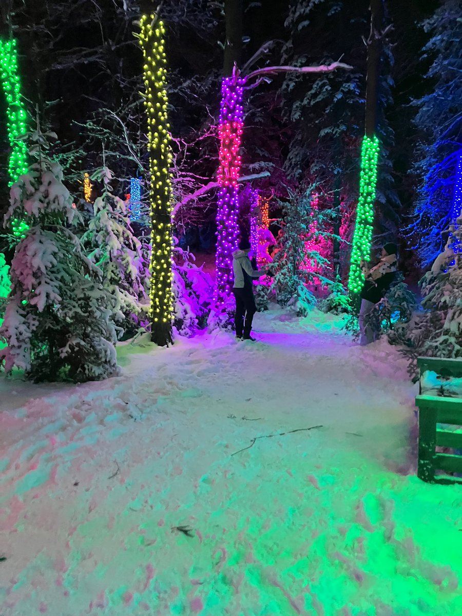 cdcamp218's tweet photo. Wild Center Wild Lights https://t.co/7WeQaGrtIT