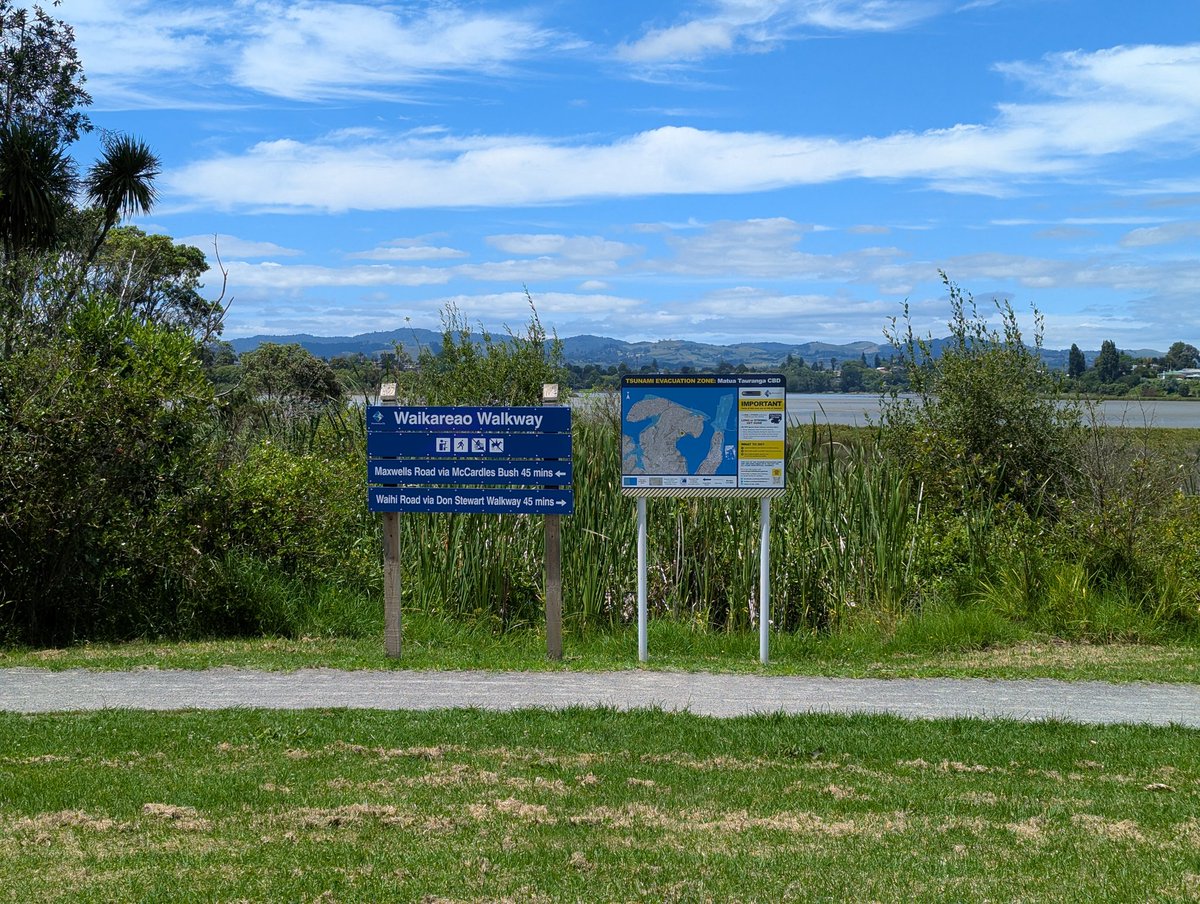 Sean Hamlin tweet media