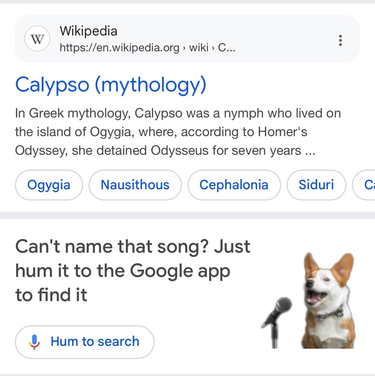 Tommy MacWilliam tweet media