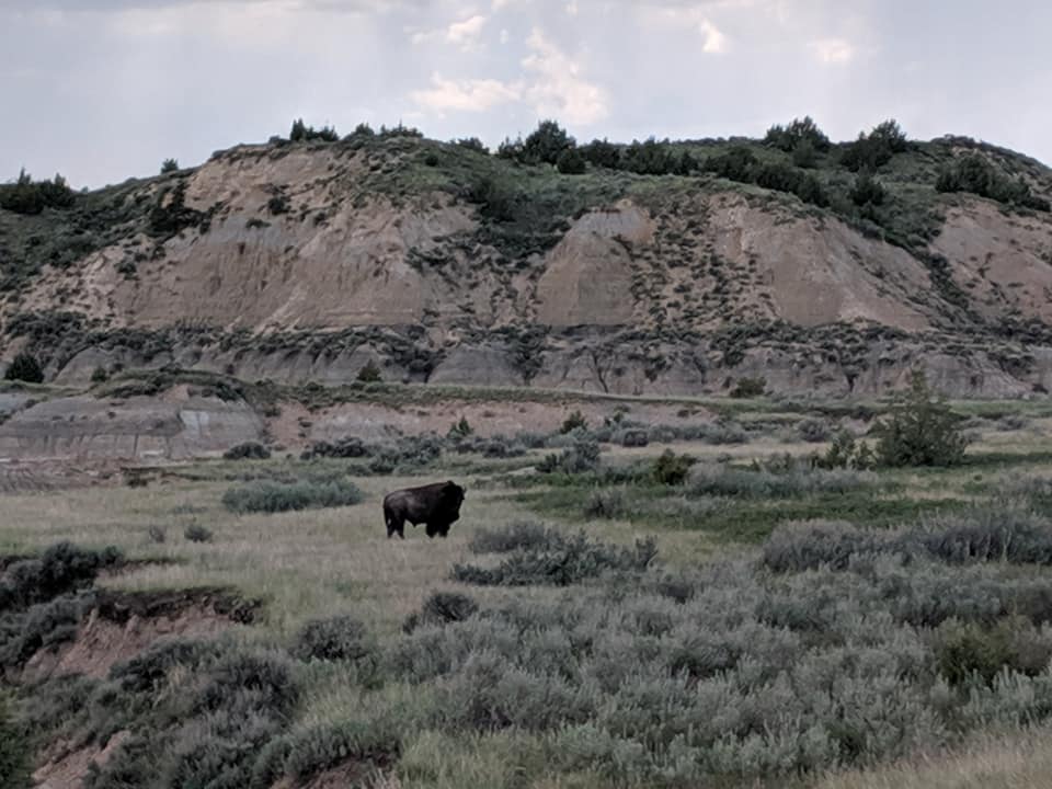 Check out Theodore Roosevelt National Park! There are plenty of locations to check out like the Painted Canyon and Maltese Cross cabin. Make sure to visit when you're in North Dakota!

s.mtrbio.com/fjfzmlarch

#northdakota #nationalparks #traveltips #penniesplacesandpaws #medora