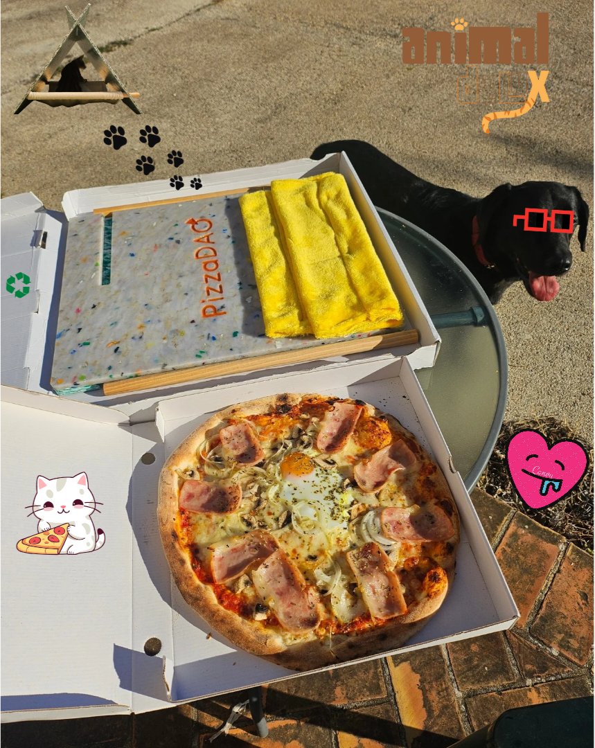 AnimalDeLux_eth's tweet image. Which is ur favourite... a Pizza, 😸Teepee ♻️, el perro🐕 or the sun shine in a cold day 🎄 !?? 

#pizzaCAT #pizzaDAO #cryptocats #SamuraiPizzaCat #rarepizzas #nounish #EcoDesign #AnimalDeLux #AnimalDeLuxTribe