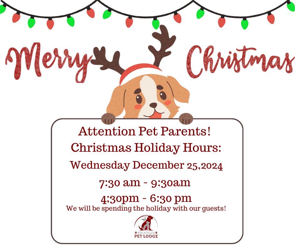 PocatelloPet's tweet photo. 🎄 Christmas is Just 2 Days Away! 🎅

The holiday magic is almost here, and we can’t wait to celebrate with our furry guests! 🐾 Just a reminder to all pet parents about our holiday hours. https://t.co/al8DGgeBuk