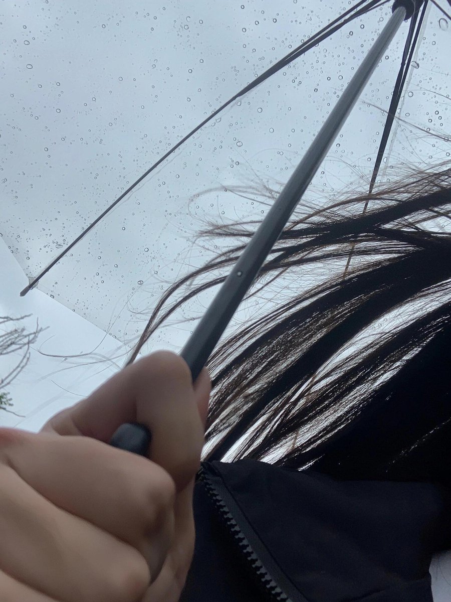 雨が降りました。⛈⛈⛈