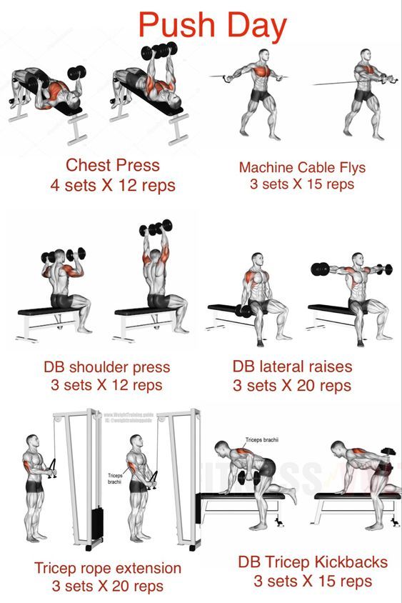 FitnessGuide0's tweet photo. The Best Push Day Routines https://t.co/VIxgXVt7Bi