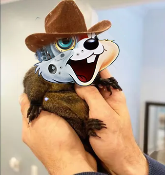 Peainutsol's tweet photo. It's all in YOUR hands right!? 🌰

The fate of the Squirrel Squad rests with you, and Chip and Dale ready to lead the charge! (ok, maybe not Dale) 🐾

 Let’s grip it, rip it, and take this all the way to the top! 

$ainut #peainut #pnut #solana #PumpFunLaunch https://t.co/YAebVnkjL1