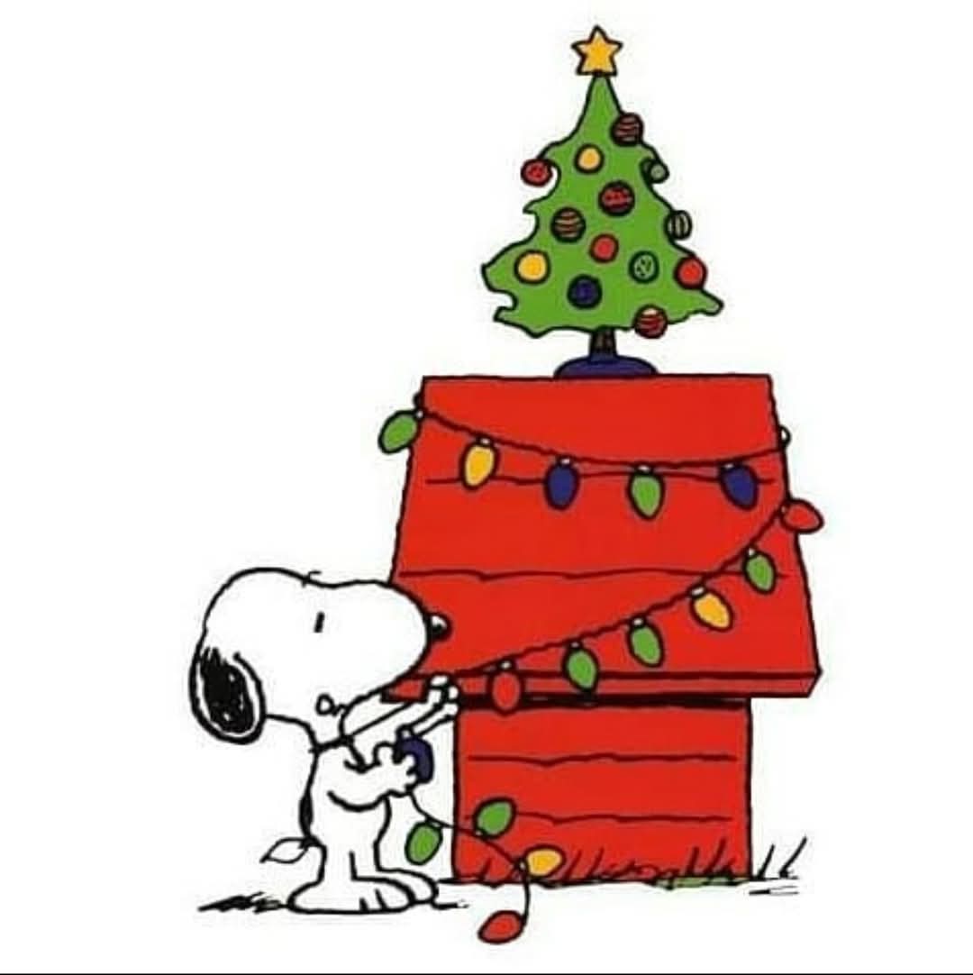 Darrin_269's tweet photo. 🎄 https://t.co/dbK4ummdpK