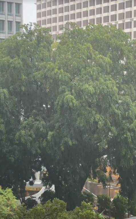 Atopossfx's tweet photo. また大雨の朝でした😹 https://t.co/vS4Lh3MwSU