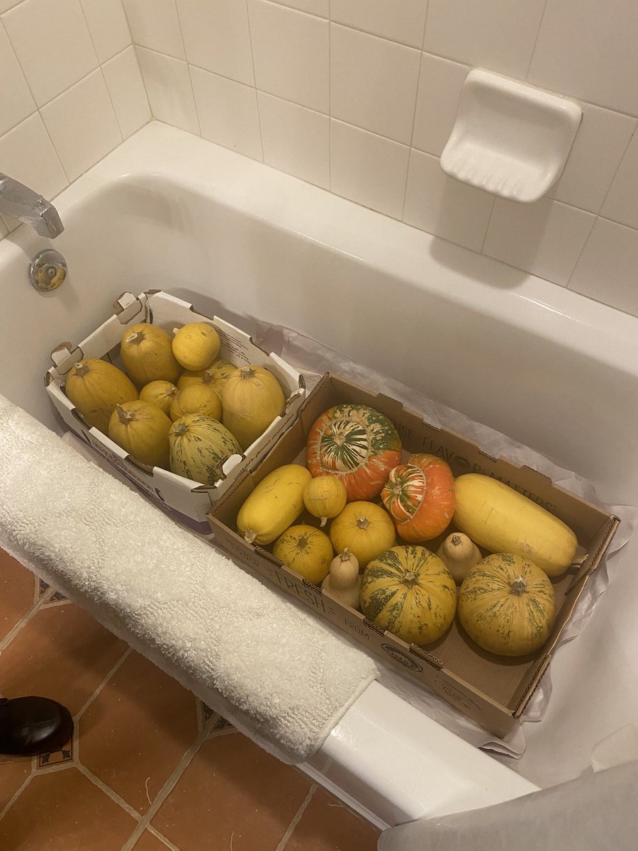 every day is a blessing fr