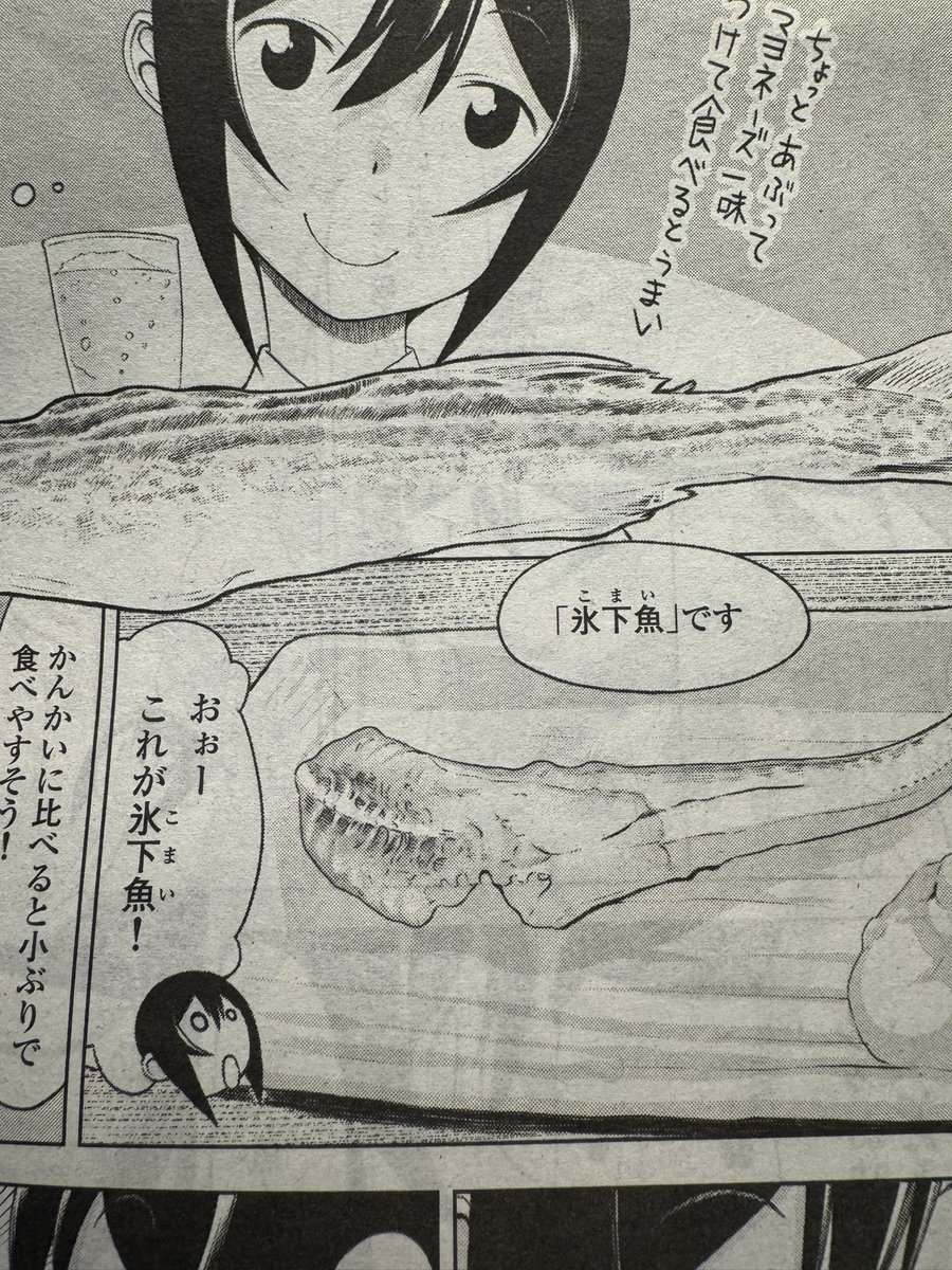 きっと君は氷下魚🎵 