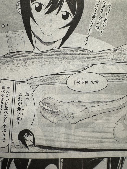 きっと君は氷下魚🎵 