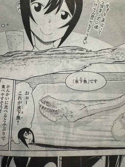 きっと君は氷下魚🎵 