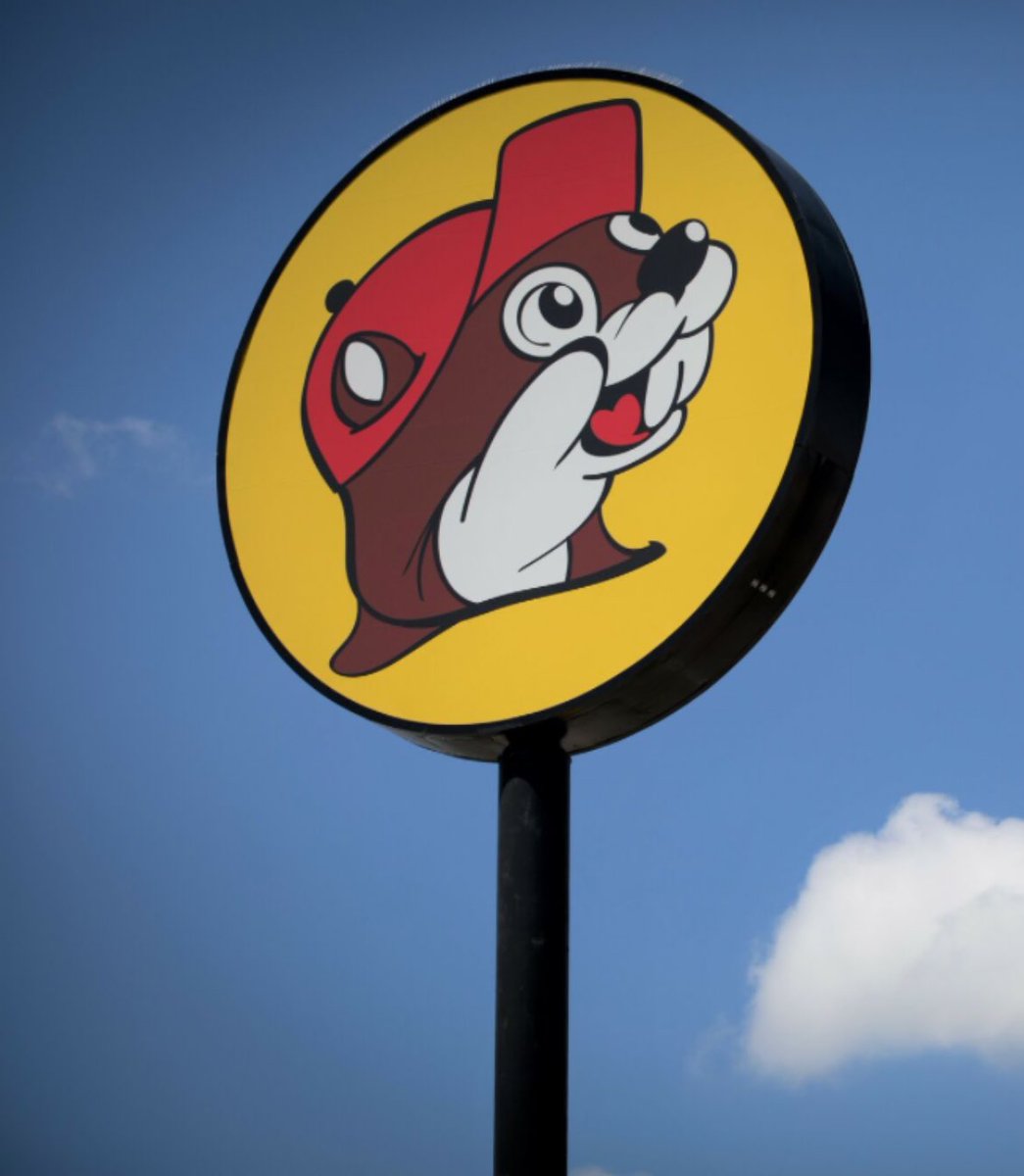 sofie hernandez 🤠 tweet media