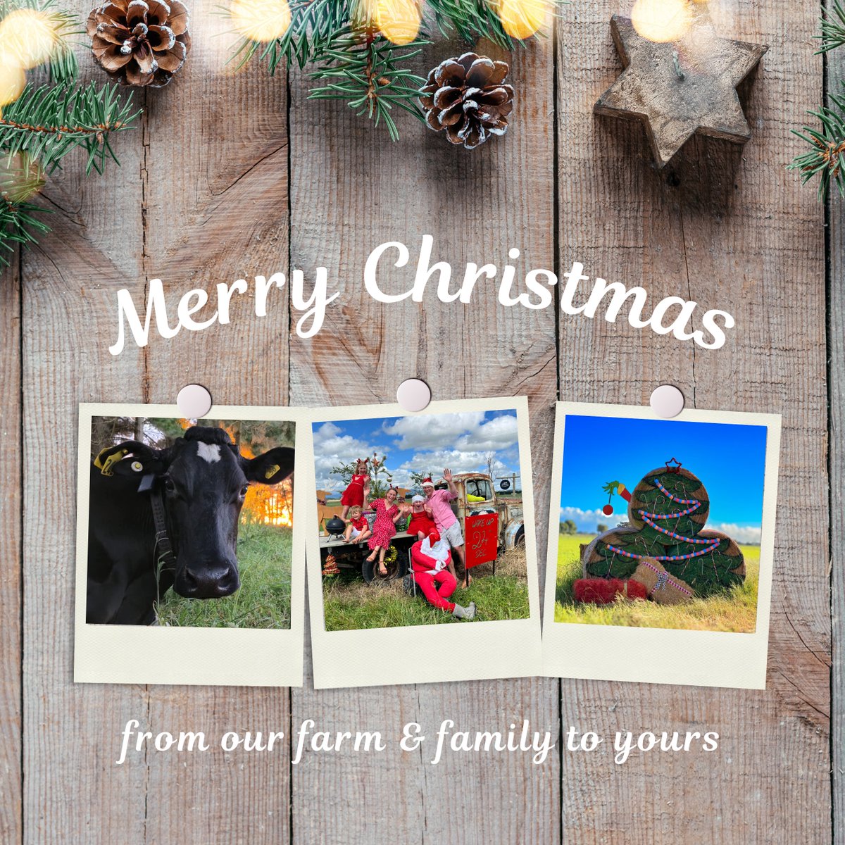 LeanFarm tweet media