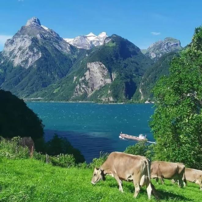 혼란스러울 때 가장 진정한 목소리와 방향을 찾을 수 있는 마음으로 돌아가는 것을 기억하세요.