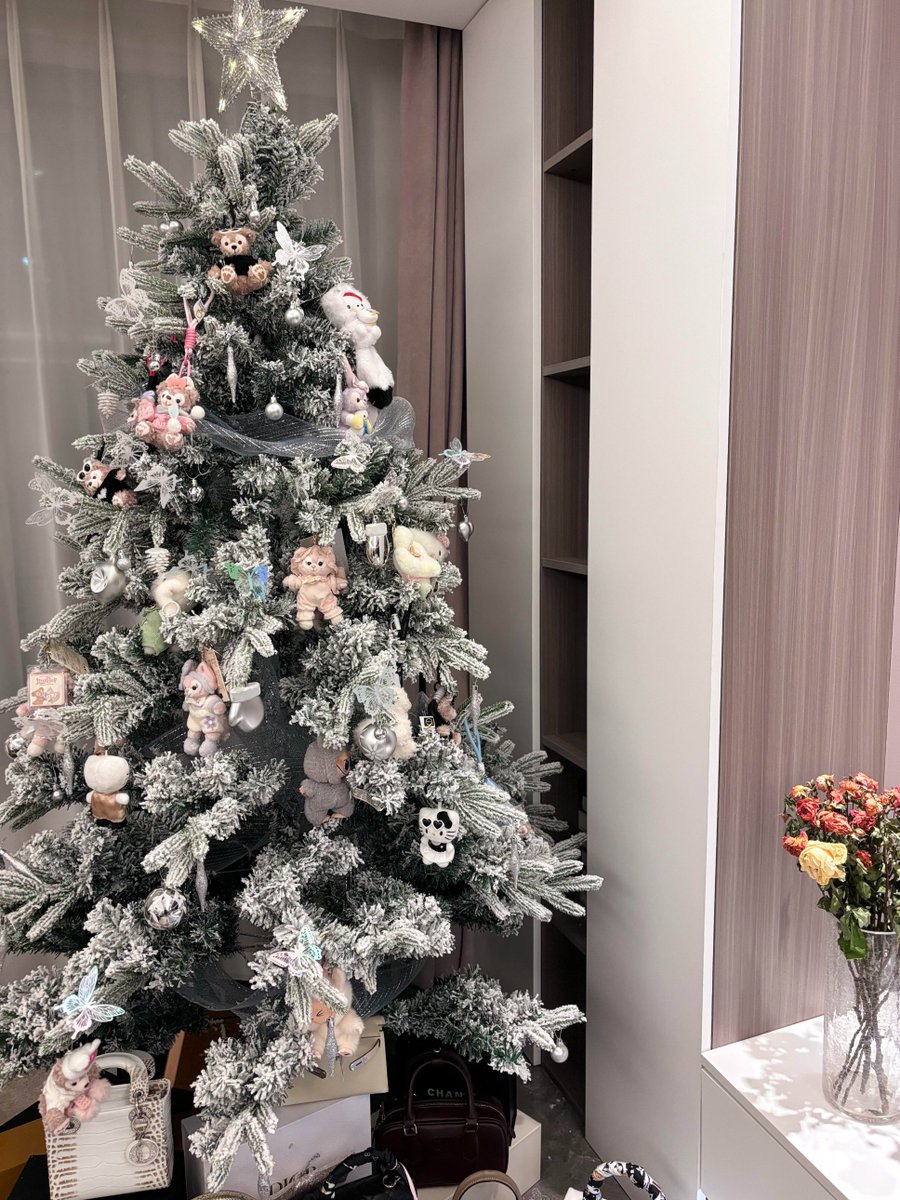 AustinmahomeArg's tweet image. クリスマスが近づいています、すべての期待が現実になり、すべての夢がもう遠くなくなりますように