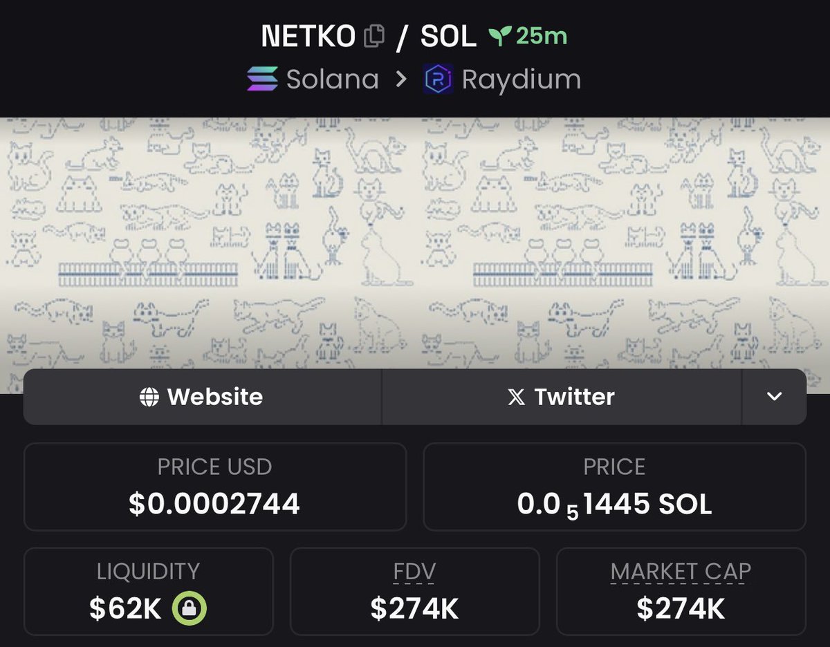 BC_MAVERIC's tweet image. I APED $NETKO VIA MY PRIVATE TG AT $274K MCAP 💵

#NETKO #SOLANA