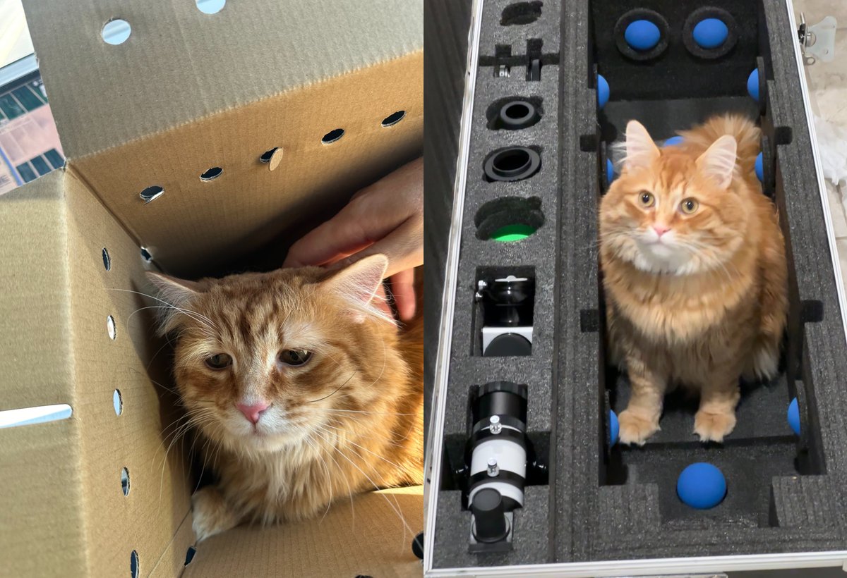 Andrew McCarthy tweet media