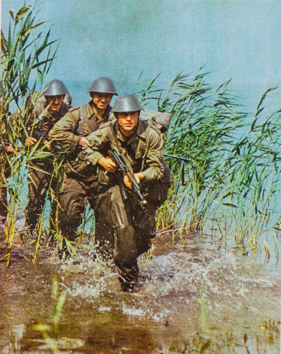 EternallyFunky's tweet image. 