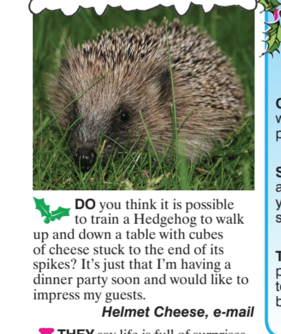 subscriptions >>> shop.viz.co.uk/viz339tw