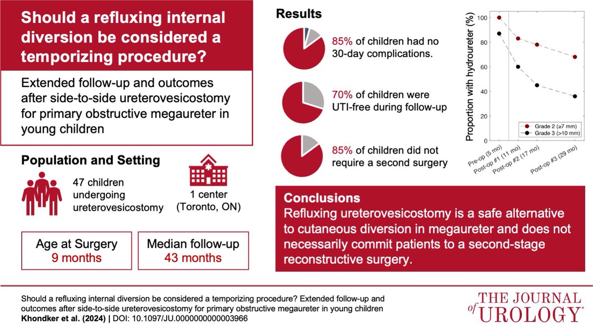 Armando J. Lorenzo (@armandojlorenzo) on Twitter photo We published our experience performing refluxing ureterovesicostomy in <a href="/JUrology/">Journal of Urology</a>, we showed that it is a feasible and safe option in young children with megaureter, and ask: can it be a definitive procedure? <a href="/AdreeKhondker/">Adree Khondker</a> <a href="/justin_jin_kim/">Justin (Jin Kyu)</a>
doi.org/10.1097/ju.000… We published our experience performing refluxing ureterovesicostomy in <a href="/JUrology/">Journal of Urology</a>, we showed that it is a feasible and safe option in young children with megaureter, and ask: can it be a definitive procedure? <a href="/AdreeKhondker/">Adree Khondker</a> <a href="/justin_jin_kim/">Justin (Jin Kyu)</a>
doi.org/10.1097/ju.000…