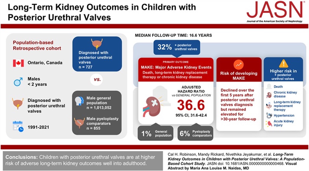 Armando J. Lorenzo (@armandojlorenzo) on Twitter photo In a large population cohort <a href="/JASN_News/">JASN_News</a>, <a href="/KidneyCal/">Cal Robinson</a> <a href="/ChanchlaniRahul/">Rahul Chanchlani</a> showed that boys with PUV have a significantly increased risk of major kidney events compared to the general population. Stresses the importance of long-term care for these kids!
doi.org/10.1681/asn.00… In a large population cohort <a href="/JASN_News/">JASN_News</a>, <a href="/KidneyCal/">Cal Robinson</a> <a href="/ChanchlaniRahul/">Rahul Chanchlani</a> showed that boys with PUV have a significantly increased risk of major kidney events compared to the general population. Stresses the importance of long-term care for these kids!
doi.org/10.1681/asn.00…