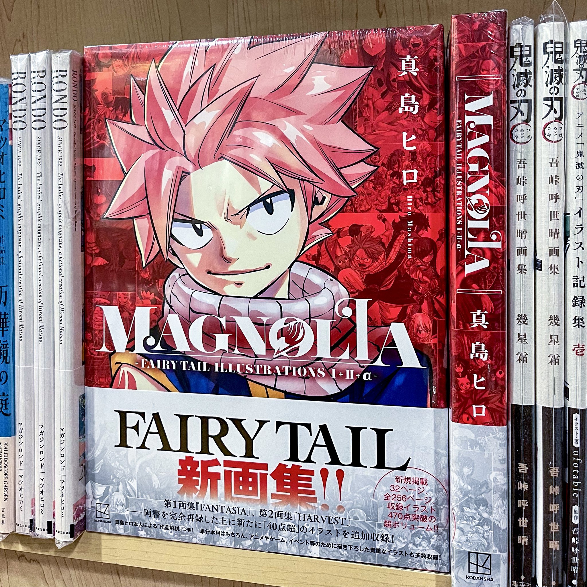 MAGNOLIA-FAIRY TAIL ILLUSTRATIONS 真島ヒロ MAGNOLIA-FAIRY TAIL ILLUSTRATIONS 1＋2＋α- by Hiro Mashima