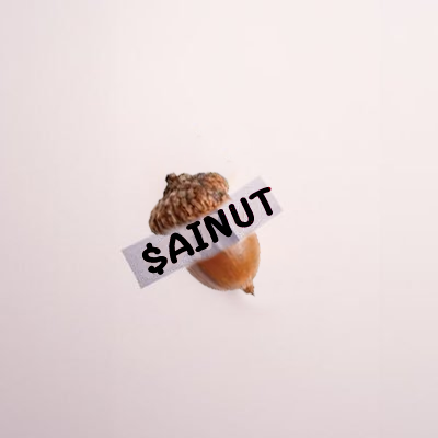 Peainutsol's tweet photo. 🌰 $AINUT: From the trenches to the treetops! 🐿️

Everything is starting at the bottom, but now it’s climbing higher than ever. 

CA: 3wSLJZZpj9BKArterwsrLPLYJKRDvoT2xzEFxU8Zpump

#solana #peainut #pnut $pnut #sol #PumpFunLaunch https://t.co/CIHu5JM0cD