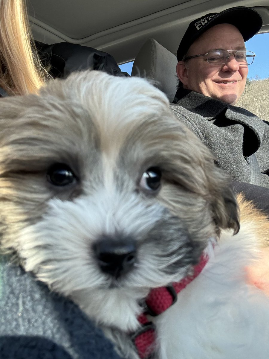 David O'Brian tweet media