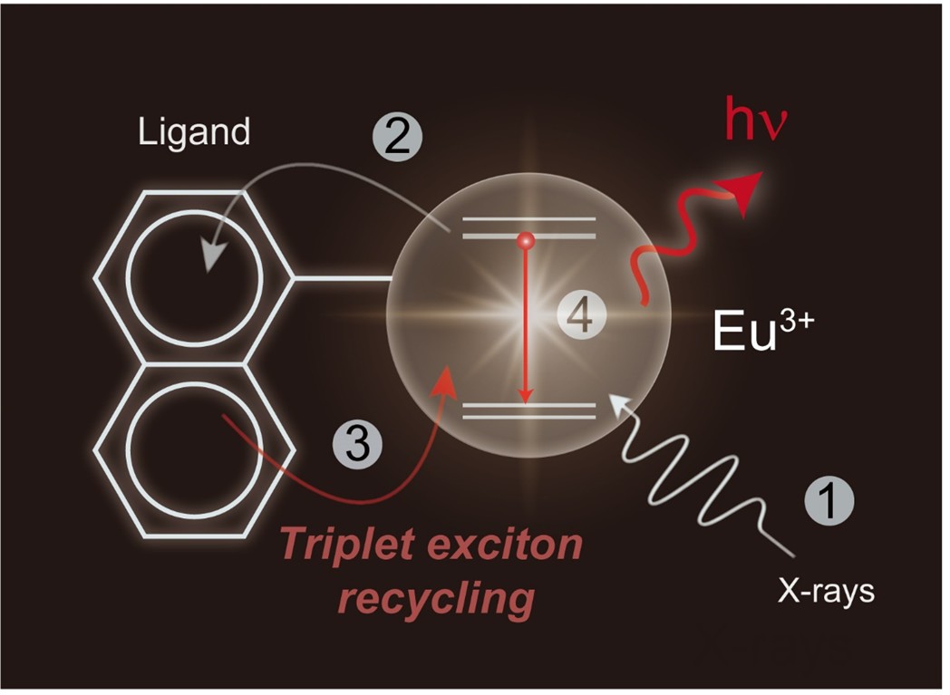 NUS scientists have developed a highly effective and general molecular design that enables an enhancement in radioluminescence within organometallic scintillators by more than three orders of magnitude. 

nature.com/articles/s4156…