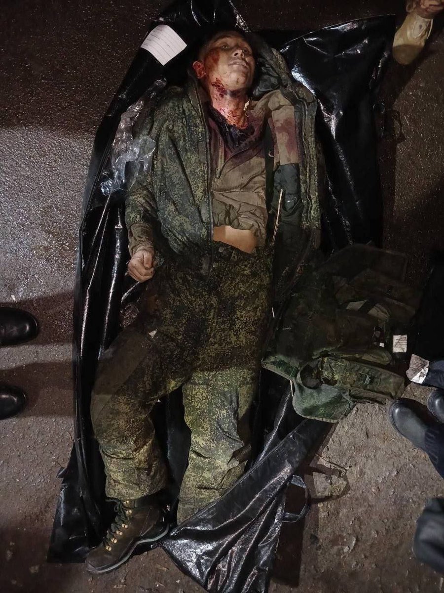 the rose tweet media