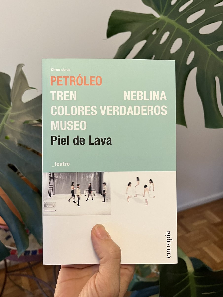 pieldelava tweet media