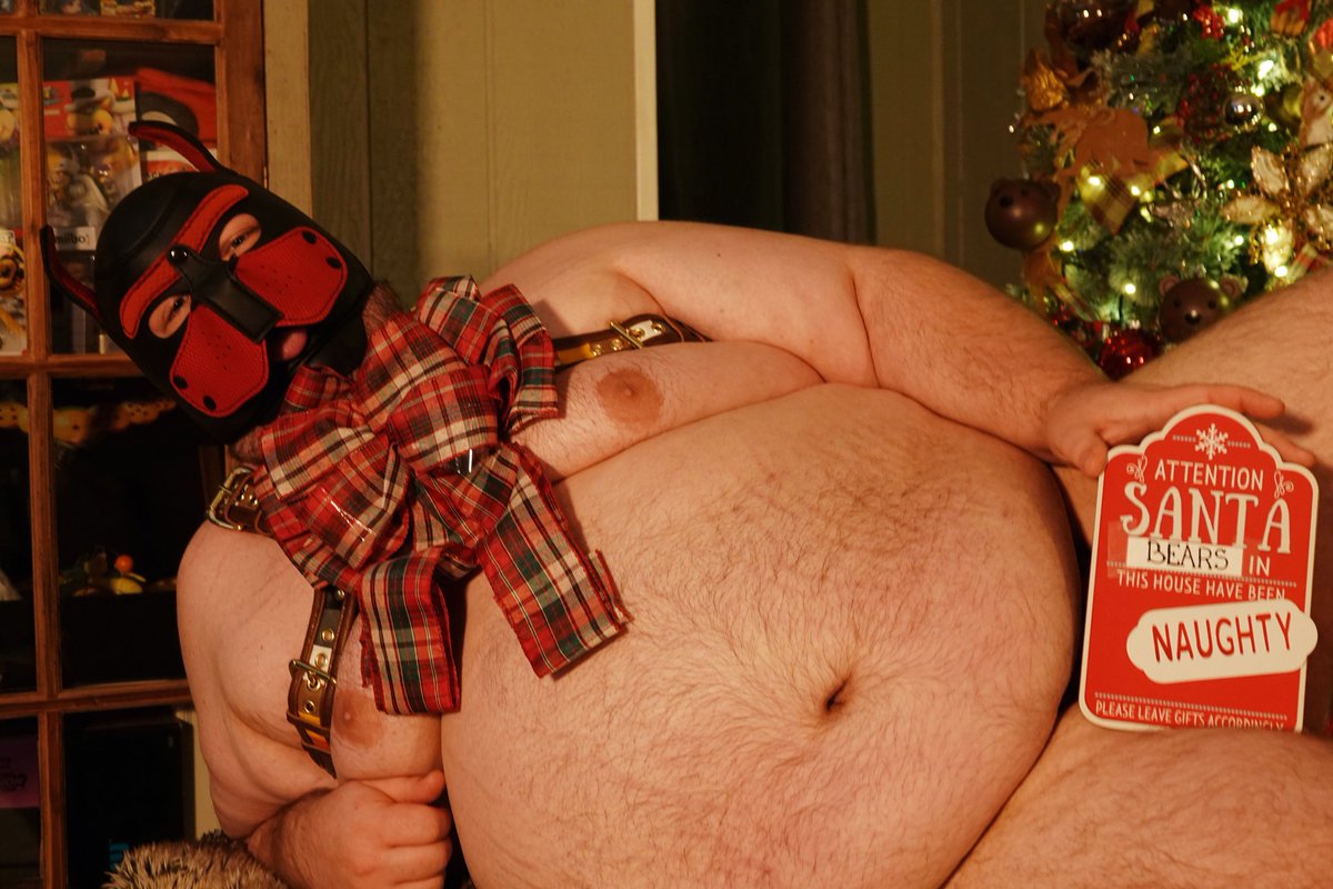 Hambeargrrs's tweet photo. Santa brought you a naughty pup for Christmas! https://t.co/K2JbQbOLzY