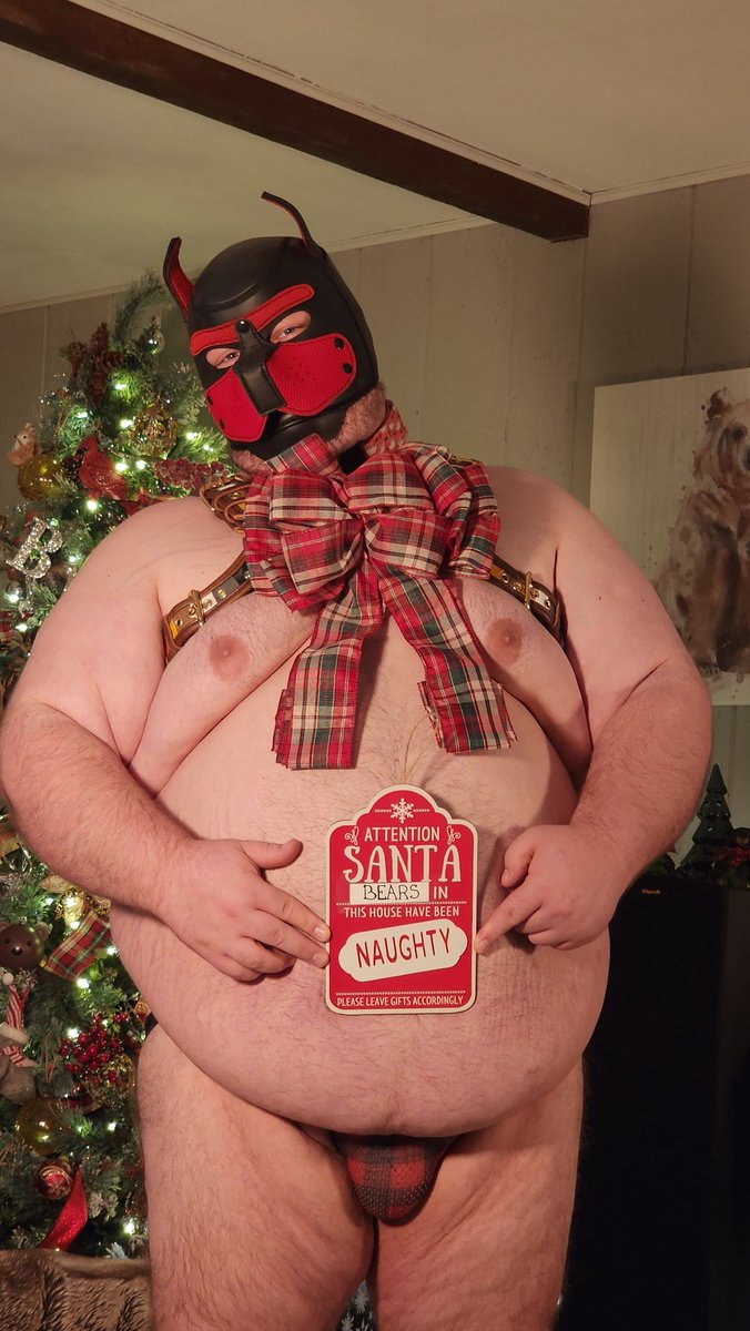 Hambeargrrs's tweet photo. Santa brought you a naughty pup for Christmas! https://t.co/K2JbQbOLzY