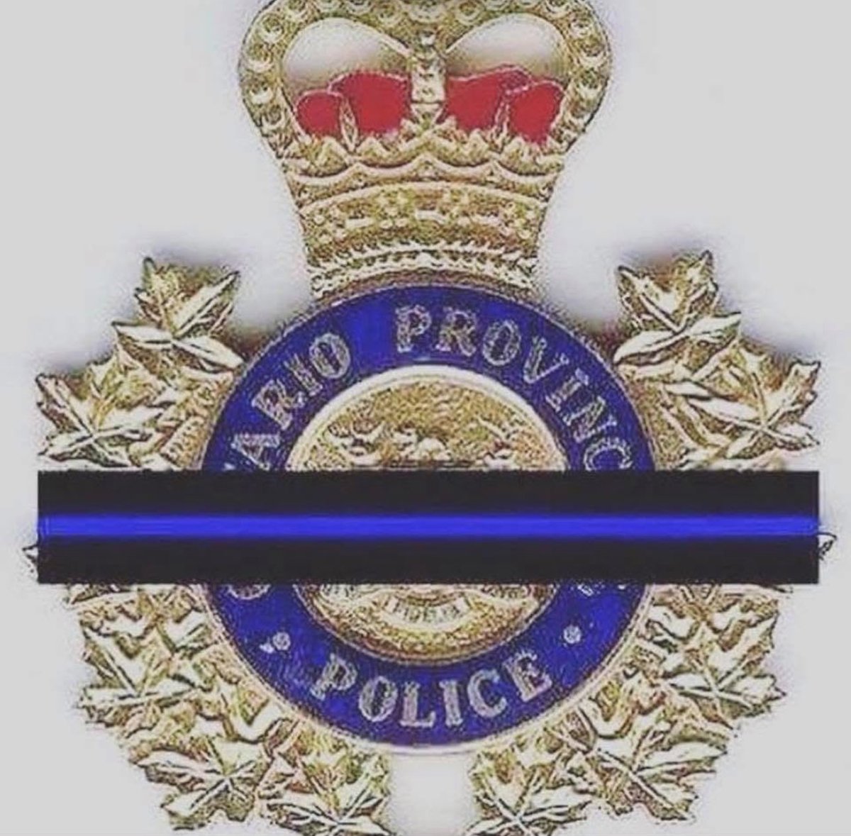 Visit @OPFFA (@opffahealth) on Twitter photo Our thoughts and prayers to the family, friends and colleagues of the <a href="/OPPAssociation/">OPPA (OPP Association)</a> on the passing of one of their own. Take care, reach out if in need… you are not alone. Our thoughts and prayers to the family, friends and colleagues of the <a href="/OPPAssociation/">OPPA (OPP Association)</a> on the passing of one of their own. Take care, reach out if in need… you are not alone.