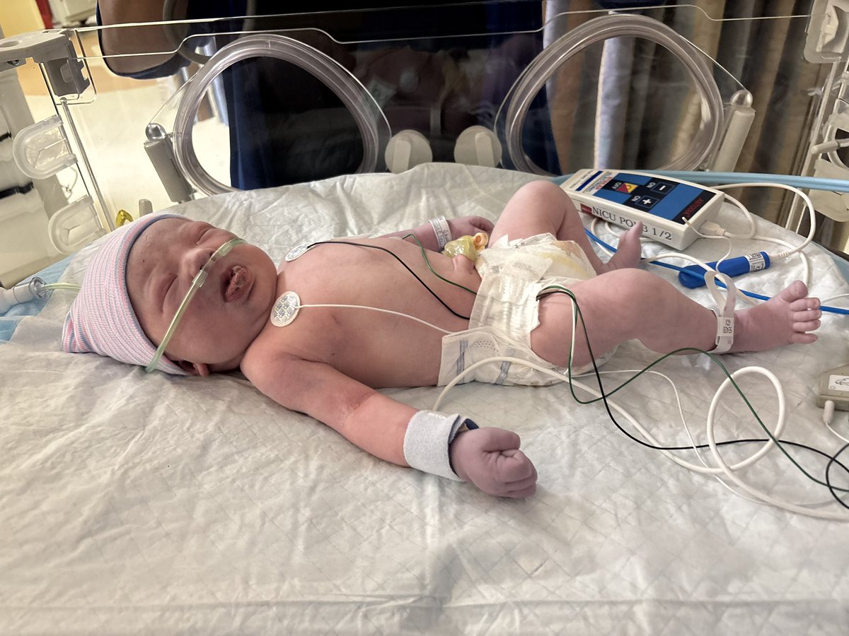 Jody Himself Again tweet media