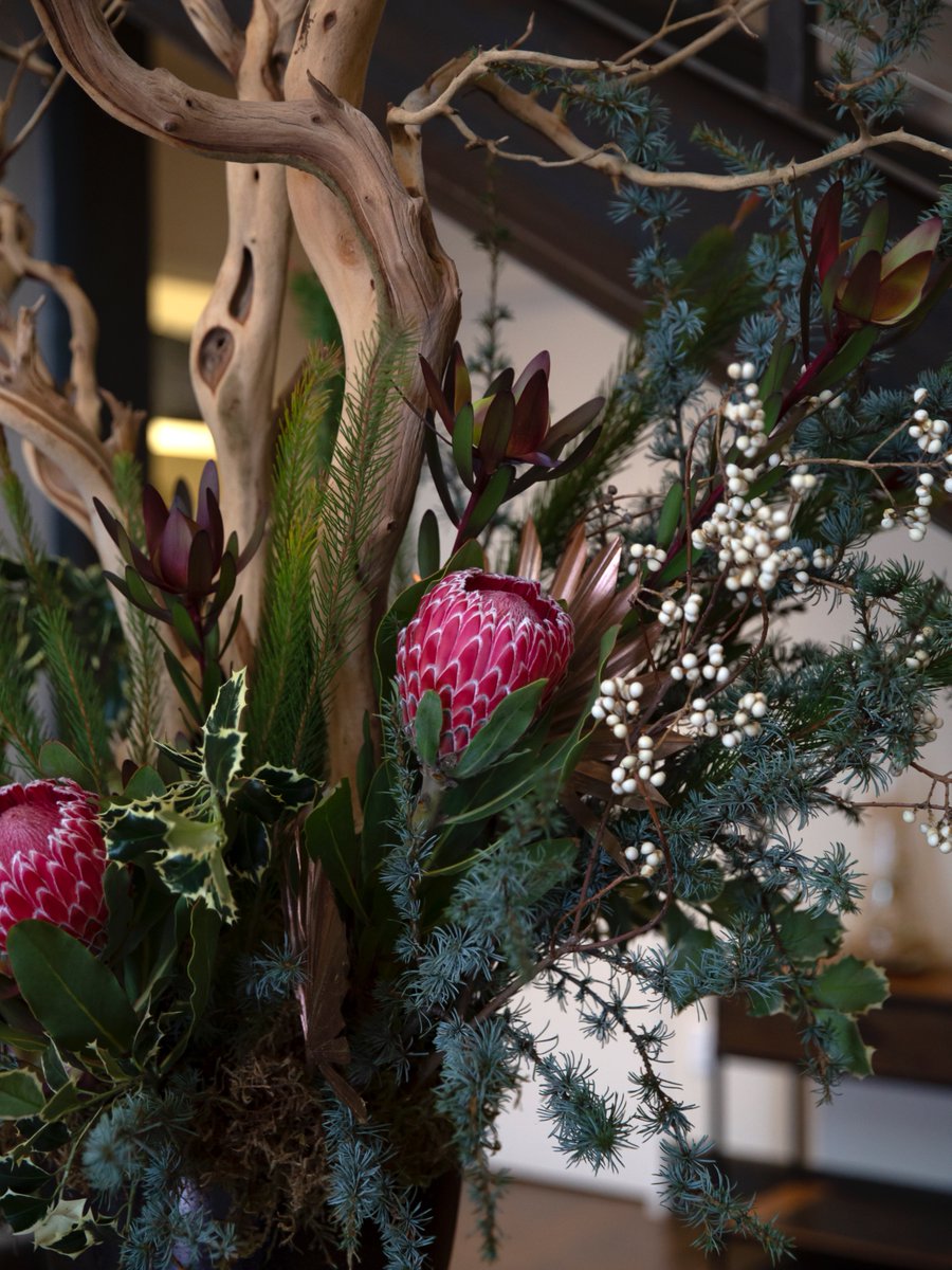 We're feeling festive and so grateful to collaborate with the talented Aimee Lomeli Designs to bring our spaces to life with her stunning floral creations.
