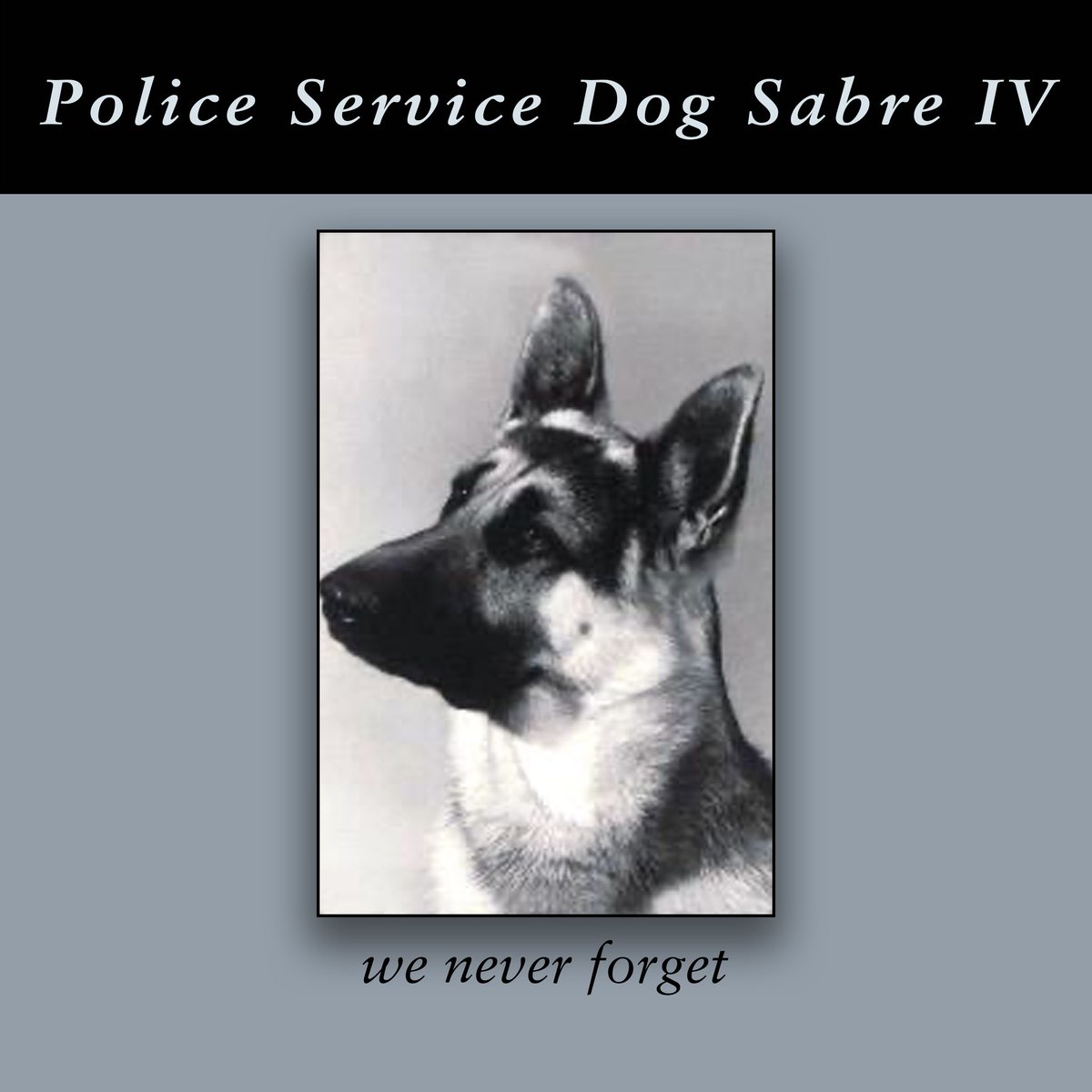 AdamPalmerRCMP's tweet photo. We #NeverForget #VPD Police Service Dog 'Sabre' who was killed in the #LineOfDuty 35 yrs ago today at E 3rd & Clark while responding to a #BreakAndEnter in progress with his partner, Cst. Gord McGuinness @VPDCanine #PoliceK9 @gm1168 #GSD #K9Hero @VancouverPD https://t.co/fcvNdc0w8A