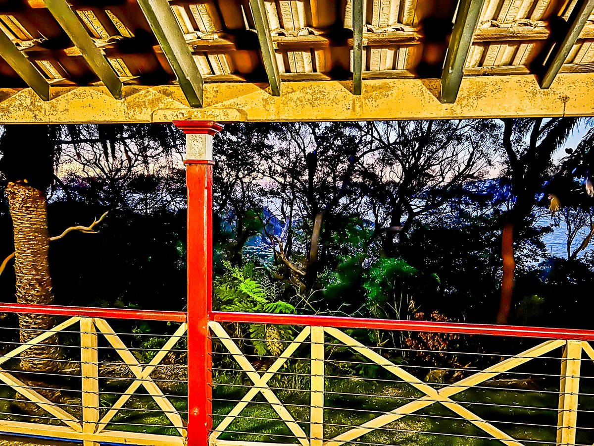 John Quinn 🎵 tweet media