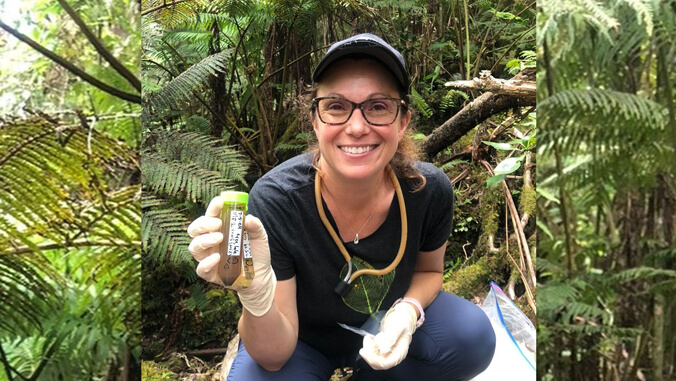 University of Hawaii System (@uhawaiinews) on Twitter photo Natalie Graham, a biology professor at <a href="/UHHilo/">University of Hawaii at Hilo</a>, is leading a pioneering project to combat invasive species in the Indo-Pacific, supported by a nearly $2 million DoD grant for early detection methods ➡️ bit.ly/3D7VSKu Natalie Graham, a biology professor at <a href="/UHHilo/">University of Hawaii at Hilo</a>, is leading a pioneering project to combat invasive species in the Indo-Pacific, supported by a nearly $2 million DoD grant for early detection methods ➡️ bit.ly/3D7VSKu