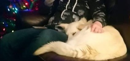 Sometimes, letting the tired go to sleep is the best thing to do. RIP to my 14 year old best friend, Dexter ❤️