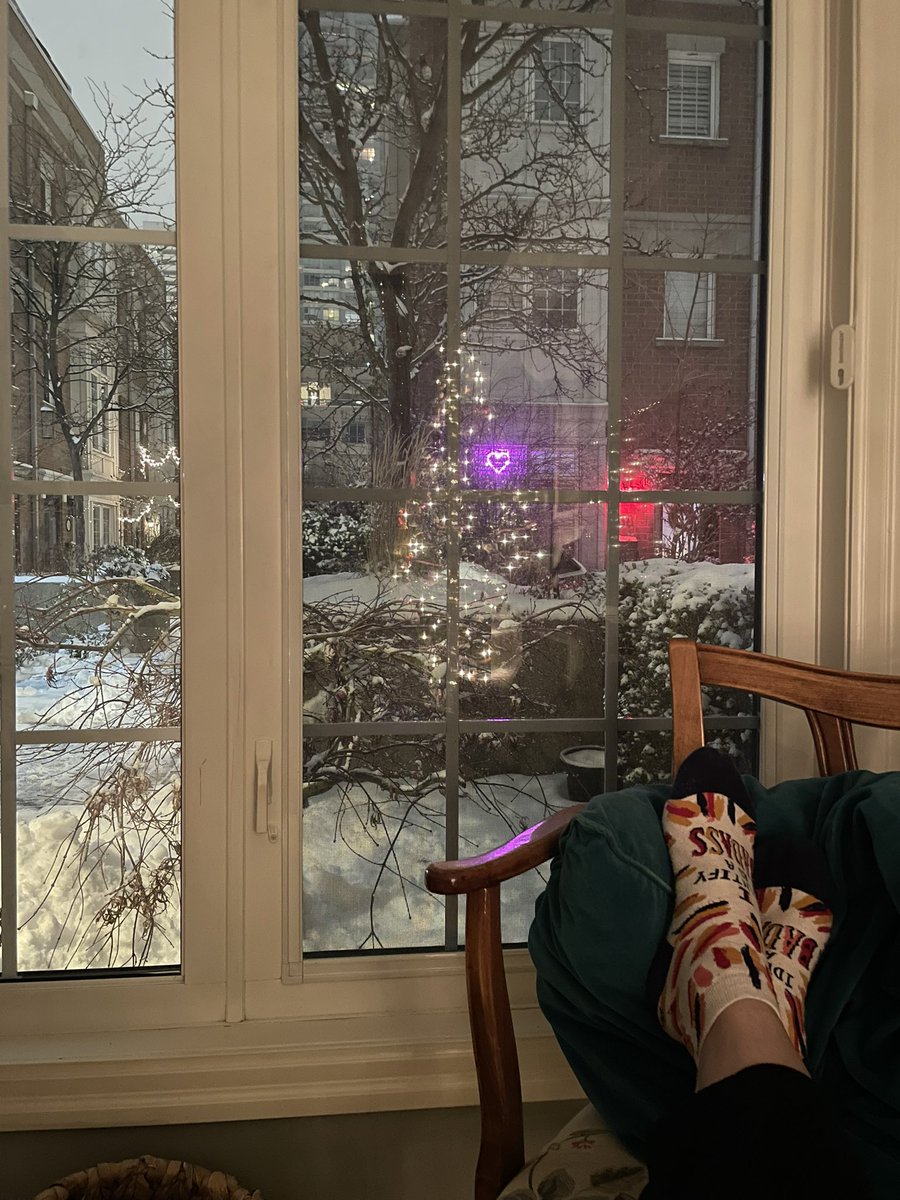 YYZscientist's tweet image. To the delight of my Brazilian relatives (and mine too), it seems like it will be a white X-mas after all. I love the sound of (or lack of it) the city when it snows. Happy Holidays everyone! 🎄