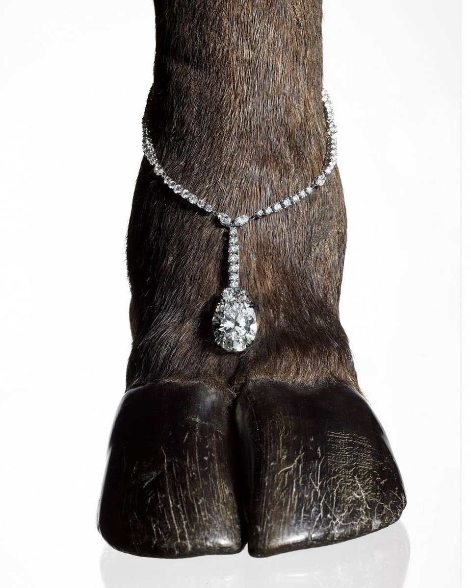 TRA (@tra_tra___) on Twitter photo 