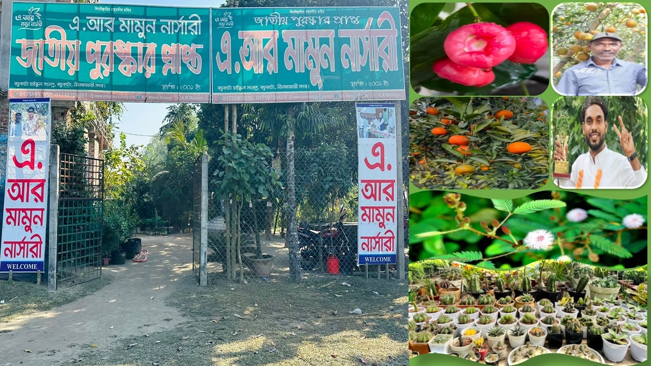 নার্সারির সফল উদ্যোক্তা মামুন
