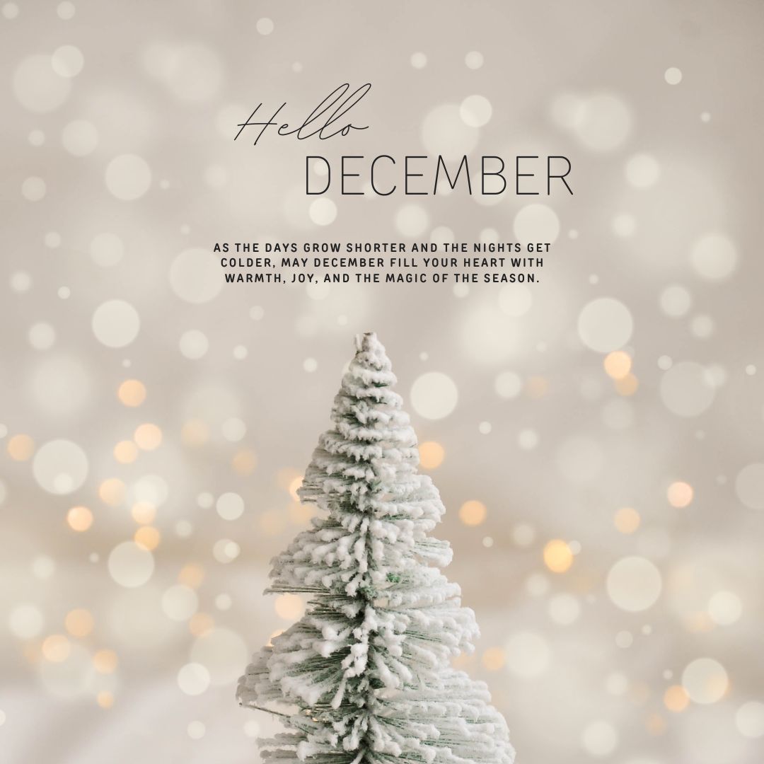 ❄️ Hello December! 🎄 Let’s make this holiday season merry and bright! ✨ Join us for warmth, joy, and fun!
📍 Reserve your spot now!
🌐 Visit : qualityinnrobbinsville.com
#HelloDecember #HolidayMagic #DecemberVibes #JoinTheCelebration #SeasonOfJoy