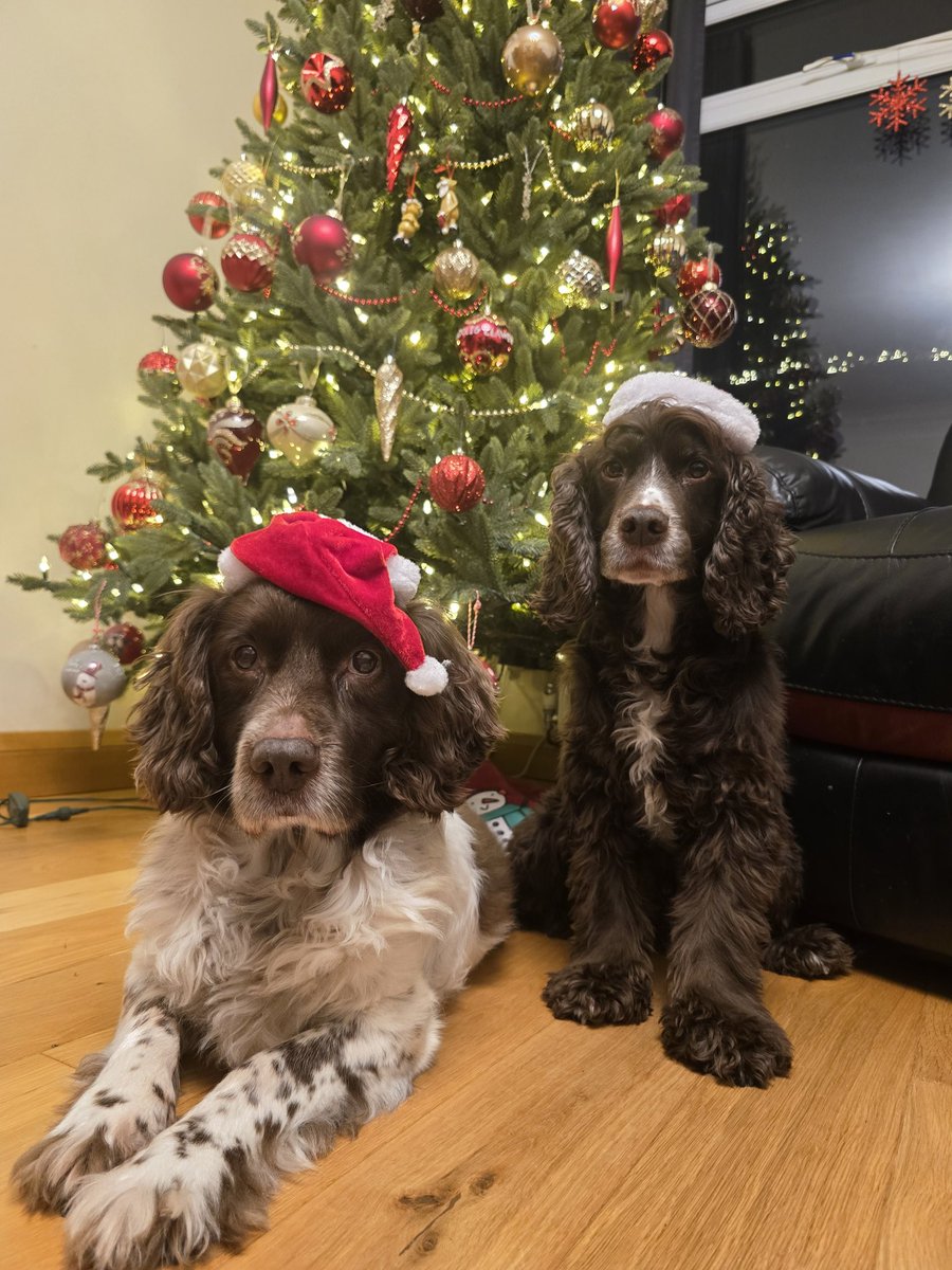 Biker Rae tweet media